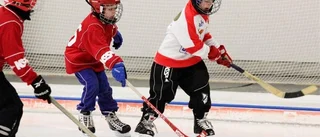 Framtidens bandyspelare samlades