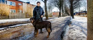 Ett ovälkommet vårtecken