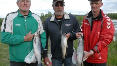 Bengt Johansson, Gösta Josefsson och Alf Johansson är kompisgänget från söder som alltid hittar till Racksund.De toppar rödingklassen