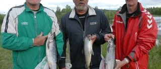 Jubileum med kanonfiske