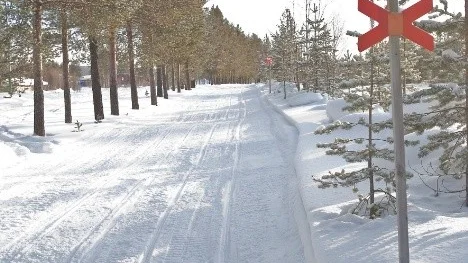 Framtiden för 37 mil snöskoterleder i Arvidsjaur ser ljusare ut. Snöskoterföreningens valberedning har till slut hittat personer som är villiga att ta på sig styrelseuppdrag. Ett extra årsmöte är därför utlyst till den 19 mars. (Arkivbild)