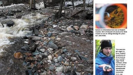 Klipp från Piteå-Tidningen den 22/10 och 16/11.