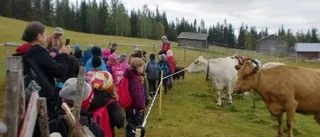 Ringelskolans tvåor besökte Granberget