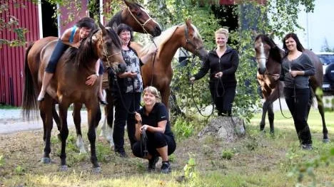 Gänget från Artic Arabians som åkte på arabhästutställningen i helgen kom alla hem med priser. "Det är så kul att åka iväg med fyra hästar och komma tillbaka med fyra champions", säger Elle Walkeapää, på hästryggen.