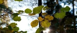 Än är det sommar