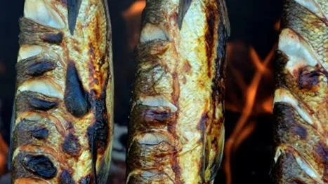 NYGJORD. Nyhalstrad sik såg ut att gå åt i mängder under Sikfesten.