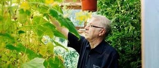 Lapp på luckan i Boden