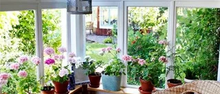 På upptäcktsfärd i grönskans värld