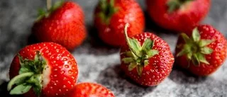 Sylta och safta med nya smaker