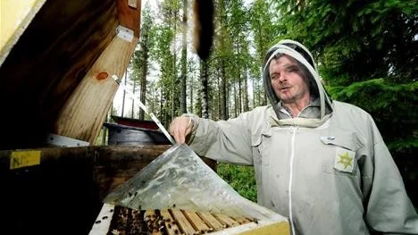 LINSLUS. Erik Heedman drar sakta bort plasten från lådan. Ett bi tar till flykten och sätter sig på kameralinsen.