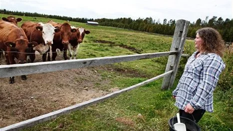 Djuren och de vackra omgivningarna är anledningen till att Lotta valde livet som bonde.