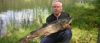 Här finns storabborre