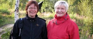 Forskning på hög nivå