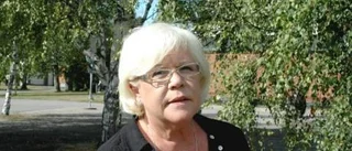 "Partipolitik i stället för väsentliga diskussioner"