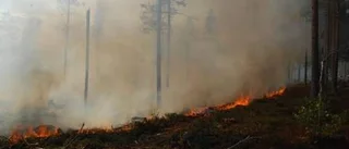 Ljusåbranden oförändrad