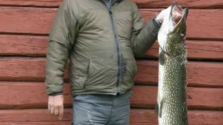 90 gruvskalv  senaste veckan Fler än 90 seismiska händelser upp till 2,2 på richterskalan, med kop pling till gruvverksamheten, registrerats i Gällivares närhet senaste veckan.   Till hösten får innevånarna svara på hur det upplever den skakiga situationen.   Så kallade seismiska händelser har varit och fortsätter vara en daglig händelse för innevånarna i Gällivare och Malmberget. Under årets första sex månader kan de räknas i många hundra. Enbart den senaste veckan registrerades fler än 90 sådan händelser enligt internationella mätinstitut vilket betyder att de inträffade i stort sett var dag under merparten av dygnets timmar. Gruvverksamheten orsaken Majoriteten seismiska händelser kan kopplas till den pågående gruvverksamheten, gruvskalv, trots sommarens två månader långa produktionsuppehåll.  LKAB:s förmåga att förutsäga dem är inte fullödig. Den 26:e juli registrerades till exempel drygt 20 seismiska händelser kring tätorten upp till 1,9 på richterskalan,utan föregående information till allmänheten. Någr