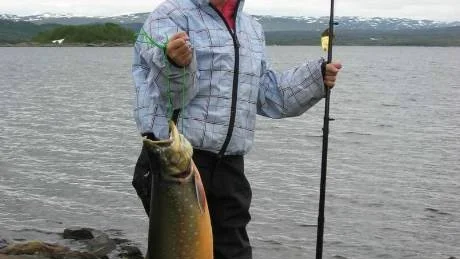 LILLA WILMA I TOPP. Sjuåriga Wilma Sjaunja från Luleå gick under den femte etappen upp i topp i rödingklassen. Detta med den här tungviktaren poå 2,95  kilo.