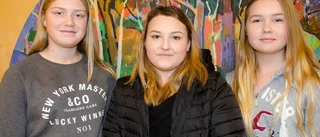 Ungdomsperspektiv på politiken