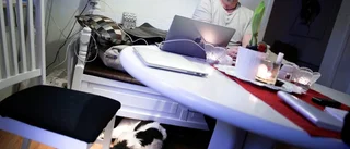 ”Inget kan ersätta en hundnos”