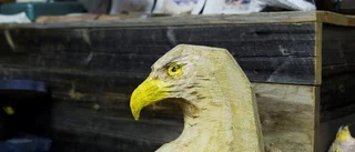 Konst av naturen
