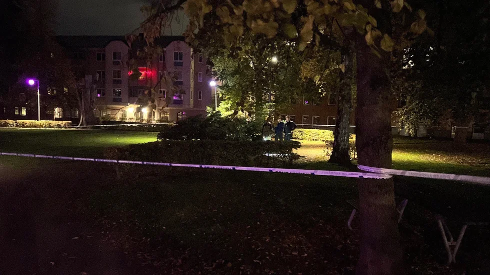 Sent på lördagskvällen fick polisen larm om att en kvinna blivit våldtagen i Järnvägsparken. 