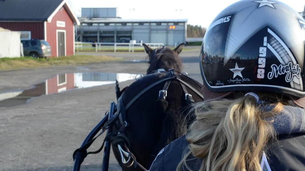 Redo. Moa Säll och Love is på väg mot travbanan.
