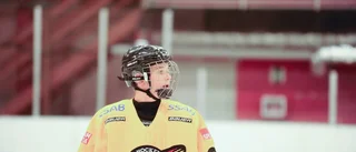 Hemligheten bakom Luleås juniorsuccé: "Lever som proffs"