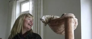 Landets första kattpsykolog