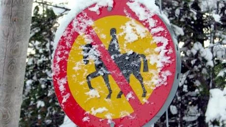 FÖRBUD ATT RIDA. Ridhästar på de kommunala skidspåren är inget större problem. Bättre vore förbudskyltar för snöskoterkörning på Ridstigen tycker hästägarna i Gällivare.