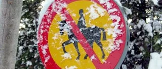 Skotrar  buskör  på ridstig