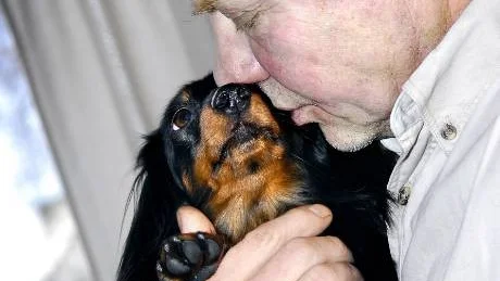 DÖDAD I LÖRDAGS. När Per-Axel Sjöberg var ute och promenerade med familjens hundar vid Höträsket på Bergnäset i Luleå dök plötsligt tre hundspann upp. Innan han hann reagera hade hundarna bitit ihjäl den femåriga tiken Tequila. Här tröstar han Tequilas dotter Tammy.