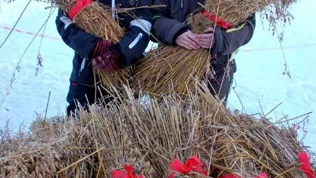 GODA INKOMSTER. Madelene Andersson och Hanna Lindström går sista året på naturvetenskapliga programmet på Björknäsgymnasiet. I höstas var de på en skolresa till Tyskland som de nu finasierar i efterhand genom att sälja julkärvar. Foto: LARS-HENRIK ANDERSSON