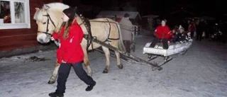 Marknadsmys med tradition