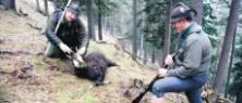 Följ med på högalpin gemsjakt i Österrike