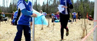 Somrigt tvådagars i Säivisnäs