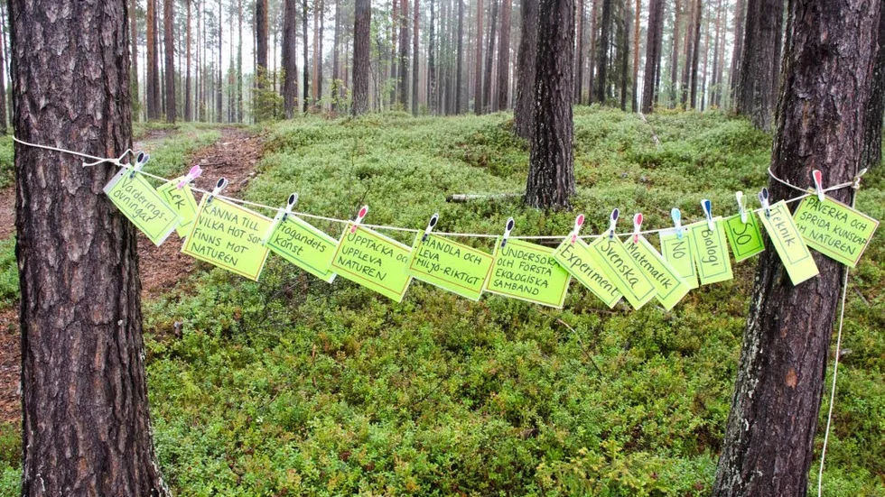 Dagens program. Exempel på vad som gicks igenom under fortbildningsdagen Skogen som klassrum.