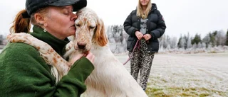 "Hunden orkade inte stå själv"