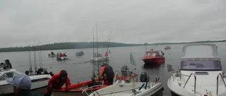Små fiskar i årets Pjeskertrolling