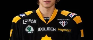 Petter - från ettan i Piteå till final med Skellefteå