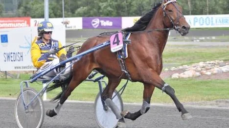 Hanna Olofsson vann första V5-loppet med Sinful Hanover. Hon tog sedan ytterligare en ny V5-seger i sista loppet med Waitingonafriend.