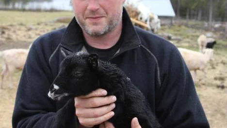 Björn Juhlin med ett lamm. Kanske blir lammet det svarta fåret så småningom.