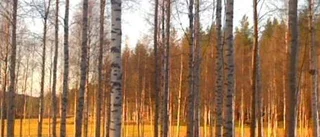 Dagens väderbild
