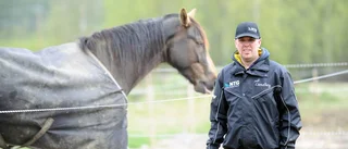 Bodenkusken kan inte tänka sig äta upp sina travhästar