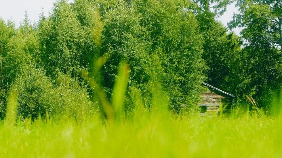 Vyn blir sly. Det estetiska värdet av öppna landskap anses obestridligt.  Och här finns en reserv för utökad livsmedelsproduktion i länet. Men utvecklingen går åt andra hållet och åkermarken förslyas.