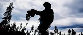 Skogsnäringen ska integrera nysvenskar
