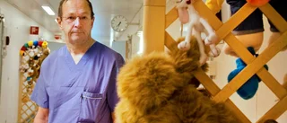 ”Virus sprids lättare på vintern”
