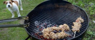 Gör en glödande grillmiddag