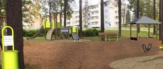 Så ska parken fräschas upp