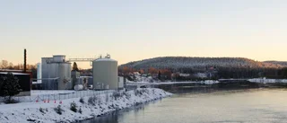Kommunen: "Troligtvis reningsverkets rör"