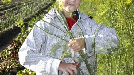Oskar Henriksson, 10 år, Hortlax, självplockade för första gången.